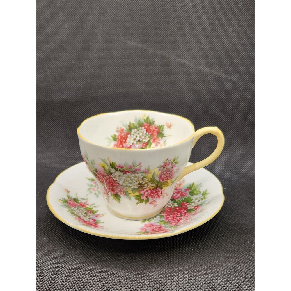 Vintage Royal Albert Bone China Tea Cup/Saucer Set Blossom Time Pattern-Perfect